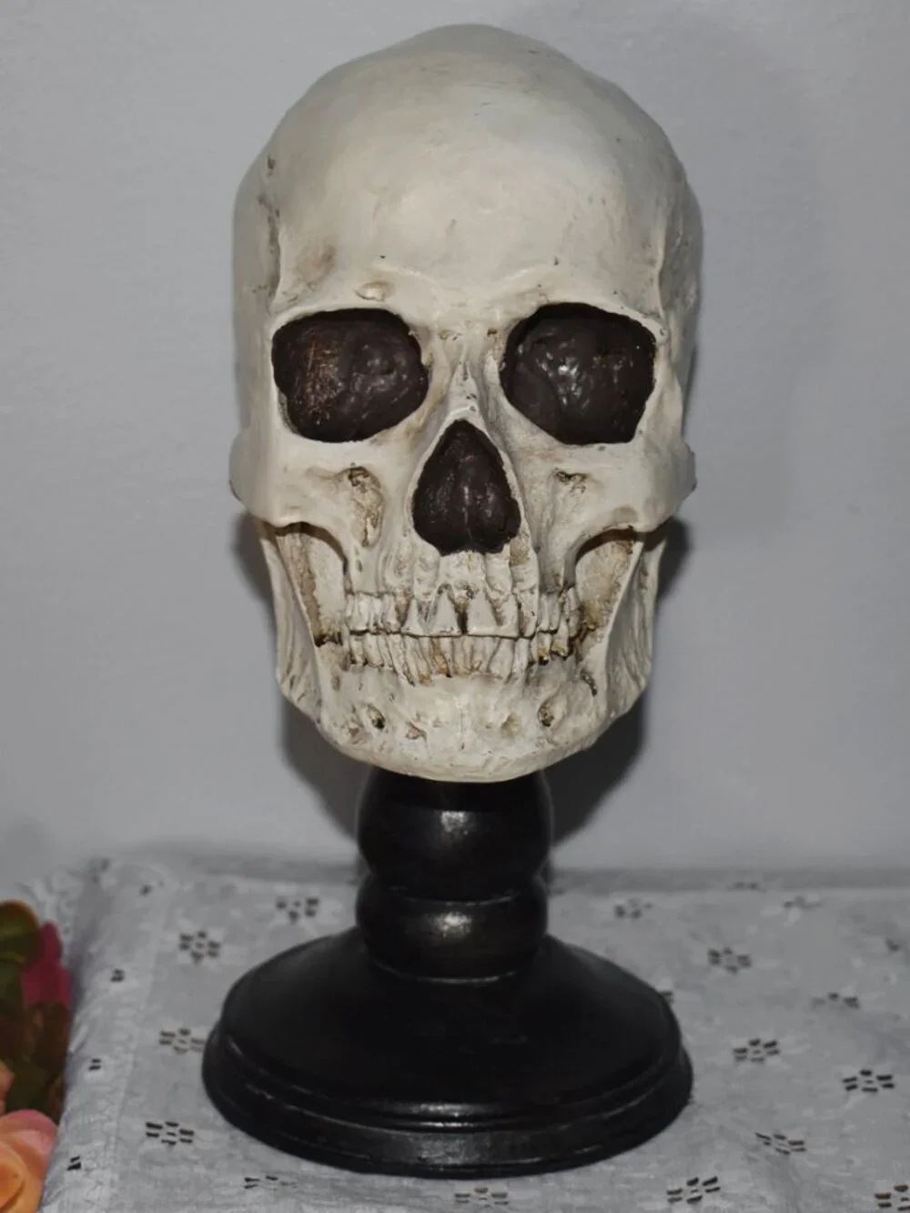 Gothic Horror Realistic Skeleton Skull on Pedestal Spooky Halloween Decor